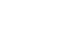 Dolphin Explorer